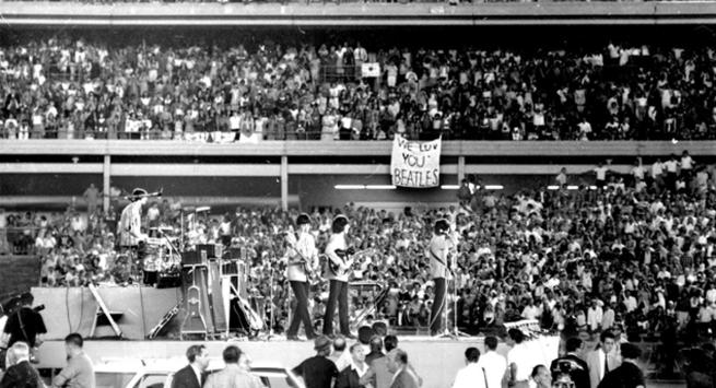 beatles in summer forest hills